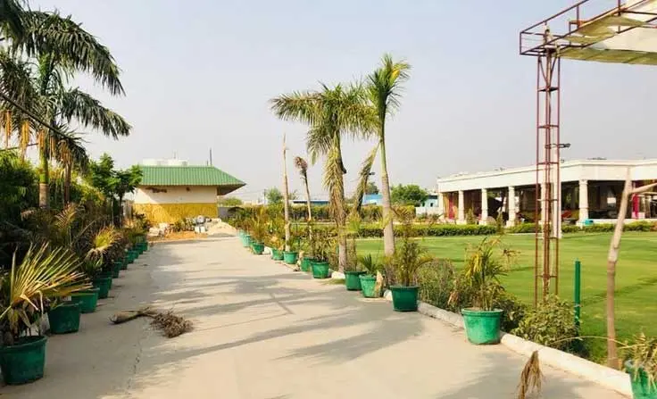 Saffron Garden